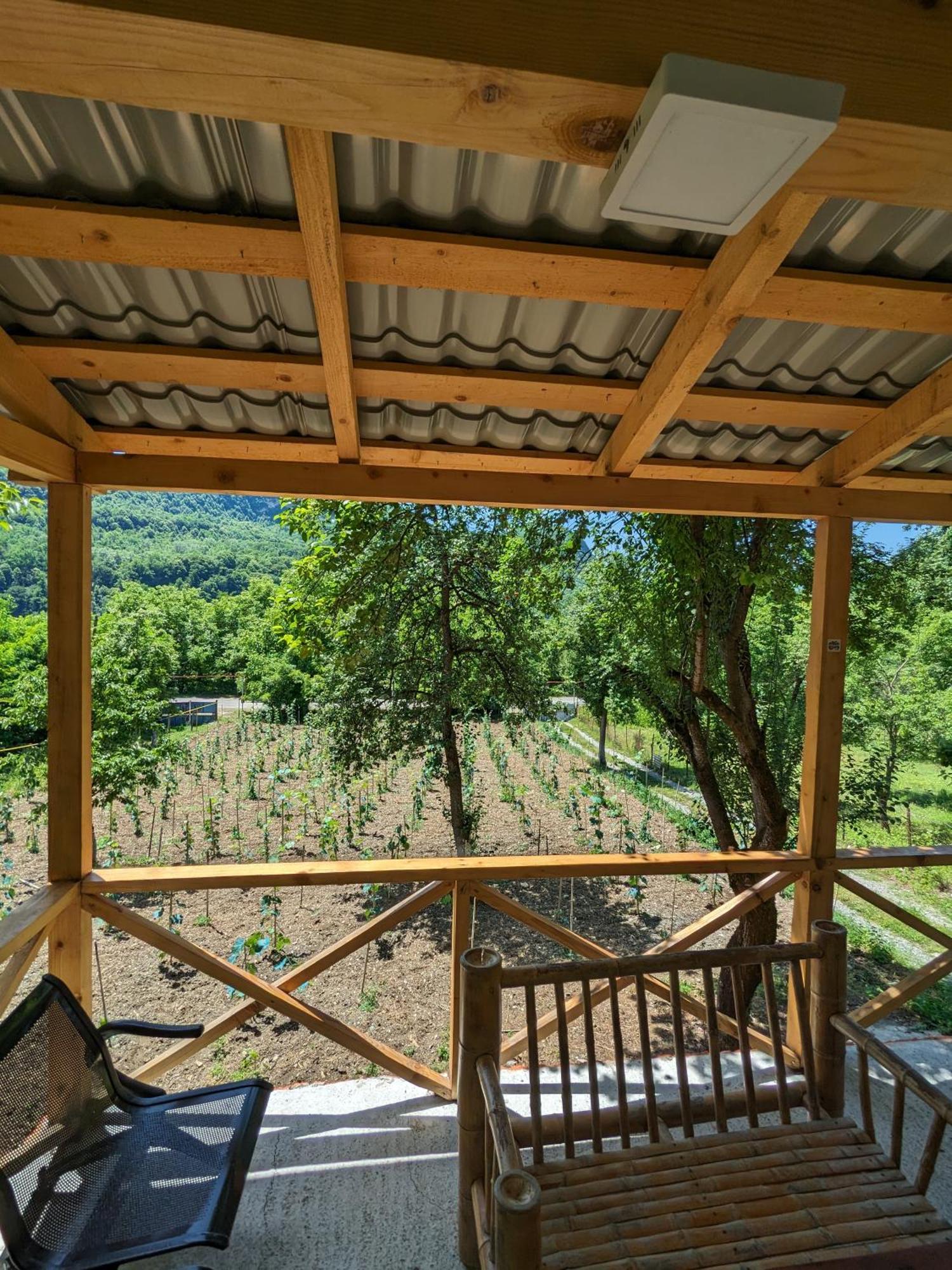 Kipiani Guest House Ყიფიანის Სახლი Khvanchkara Dış mekan fotoğraf