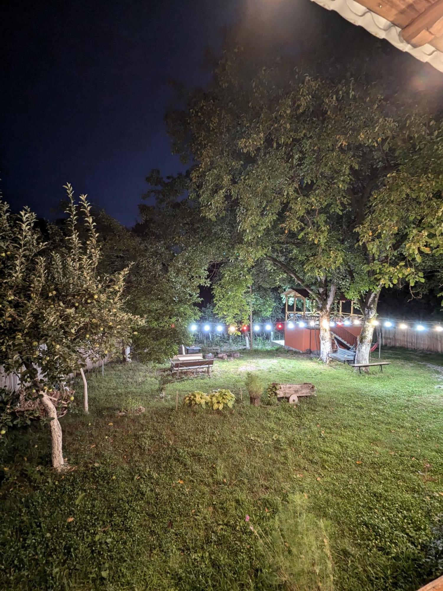 Kipiani Guest House Ყიფიანის Სახლი Khvanchkara Dış mekan fotoğraf