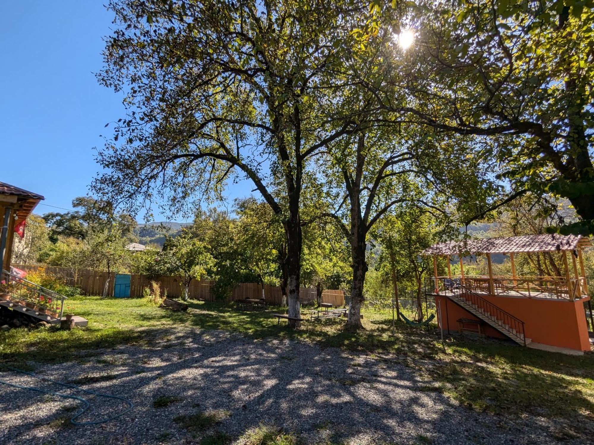 Kipiani Guest House Ყიფიანის Სახლი Khvanchkara Dış mekan fotoğraf